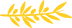 section-title-icon-1